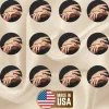Fiesta Nail Art Powder Collection