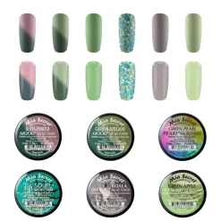 Winter Themed Acrylic Powder Collections (6PC)